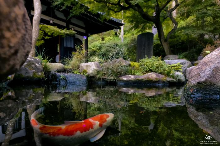 matena moments / Japan