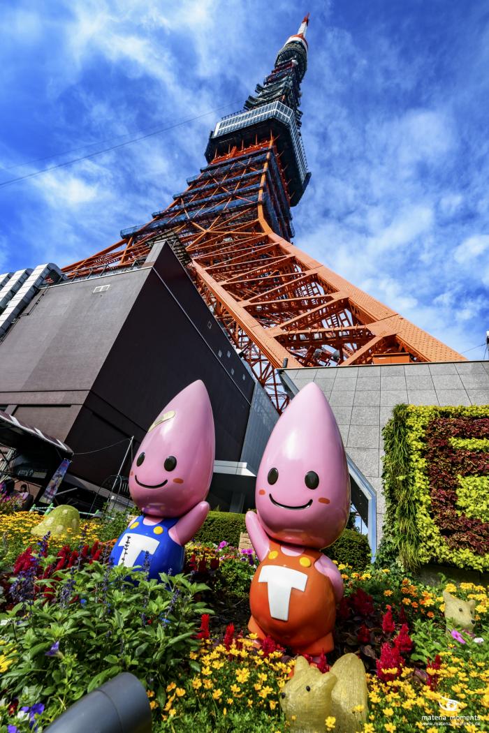 matena moments / Japan