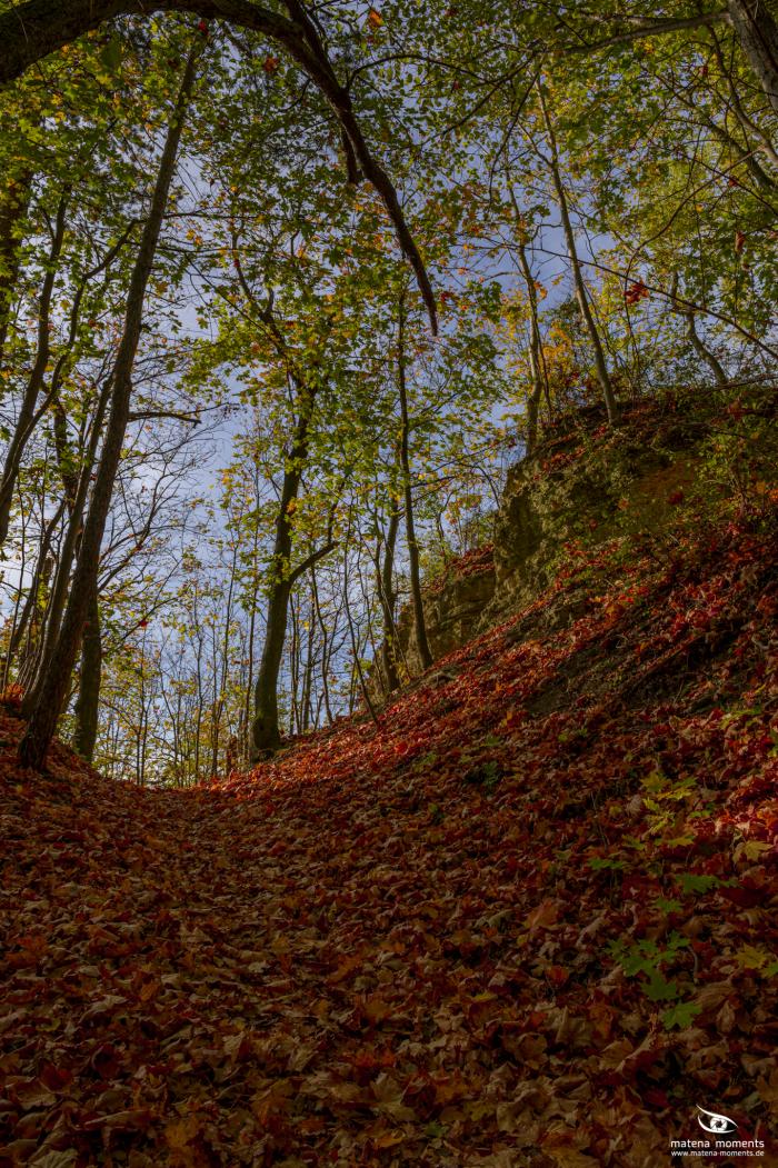 matena moments / Jena