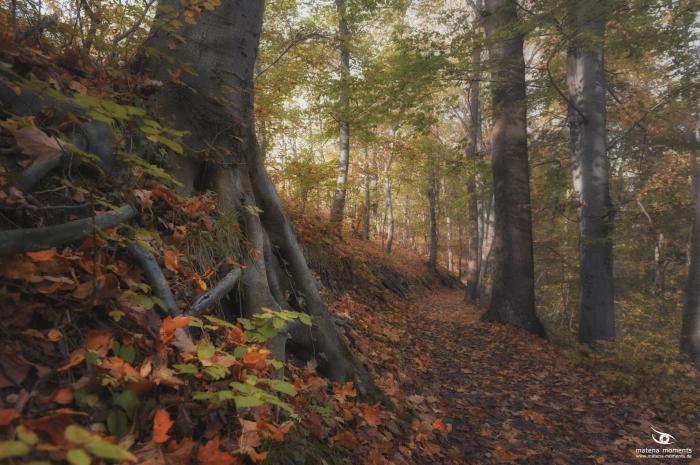 matena moments / Jena