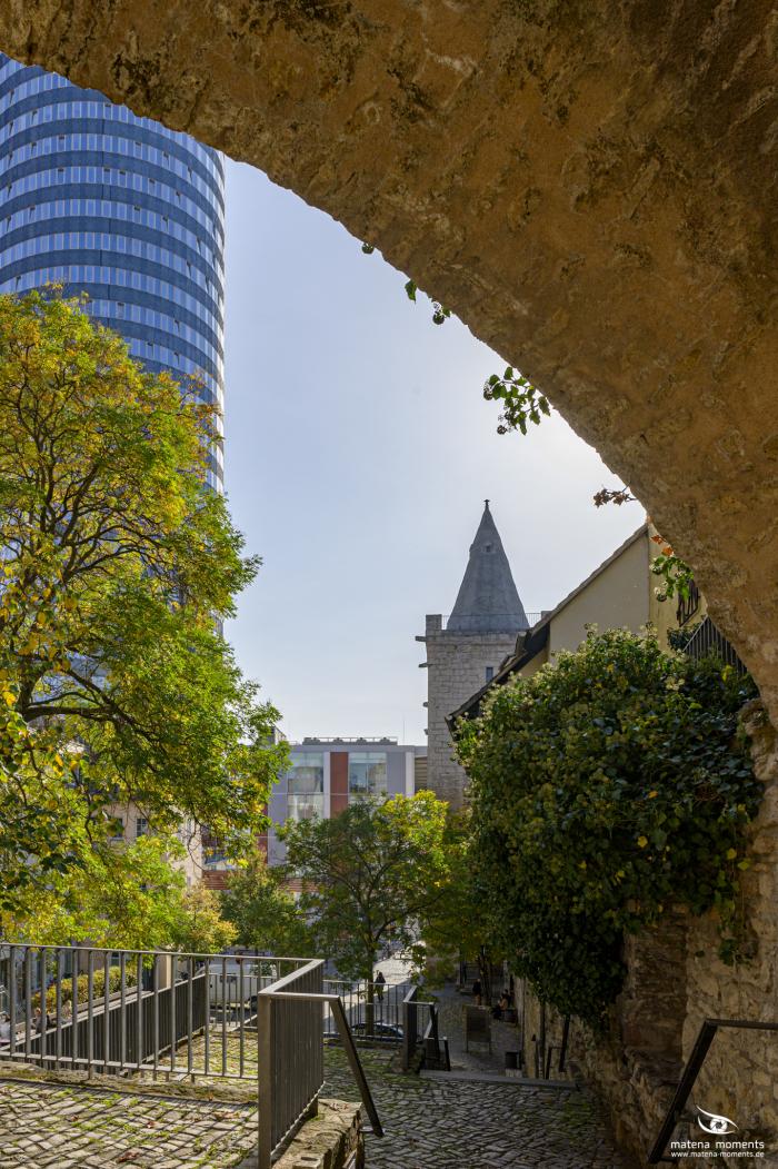 matena moments / Jena