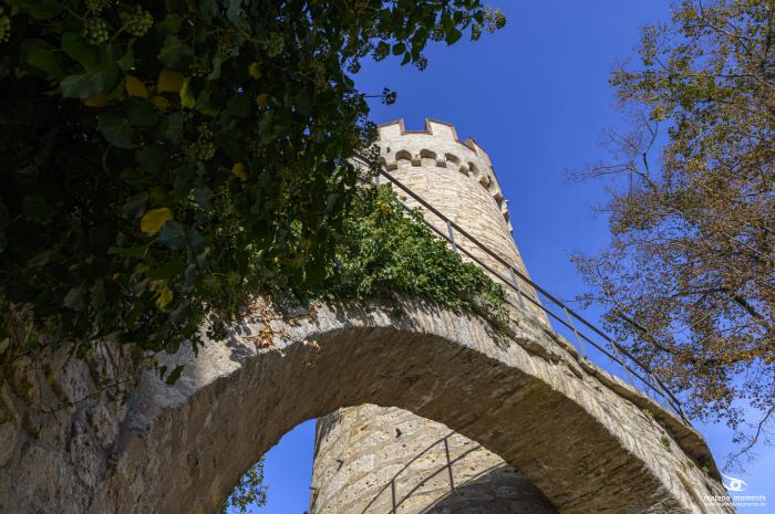 matena moments / Jena