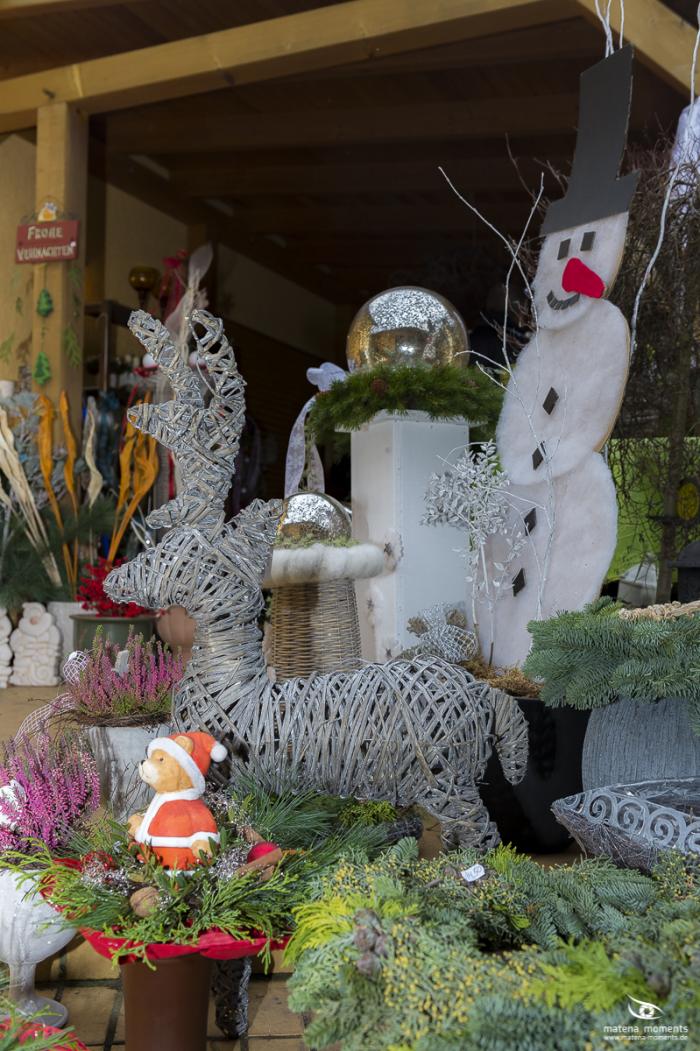 matena moments / Business