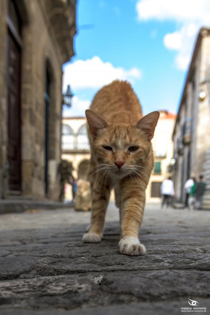 matena moments / Kuba