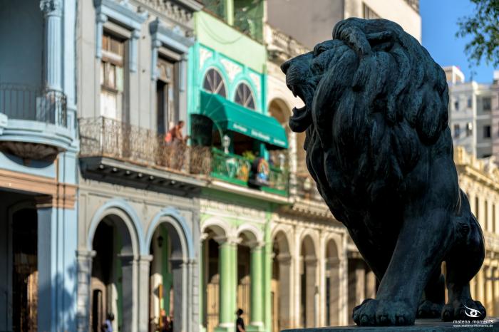 matena moments / Kuba