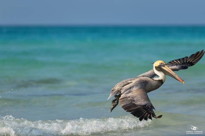 matena moments / Kuba