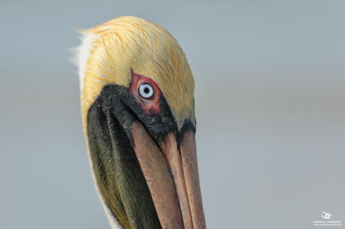 matena moments / Kuba