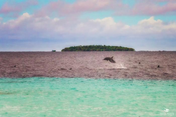 matena moments / Malediven