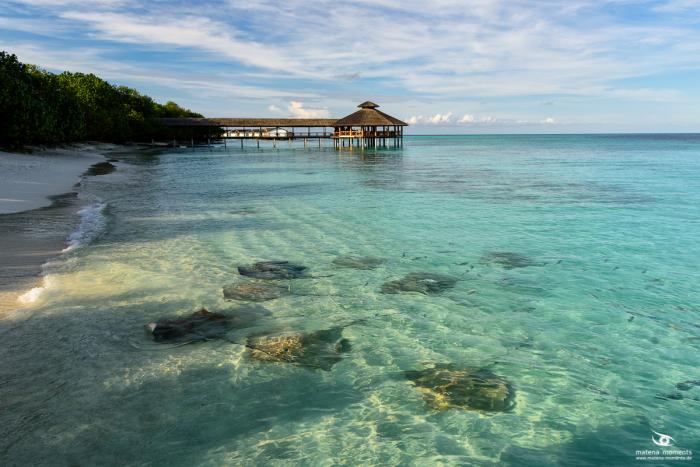 matena moments / Malediven