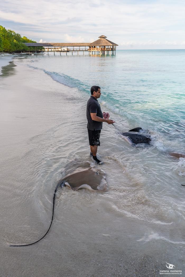 matena moments / Malediven