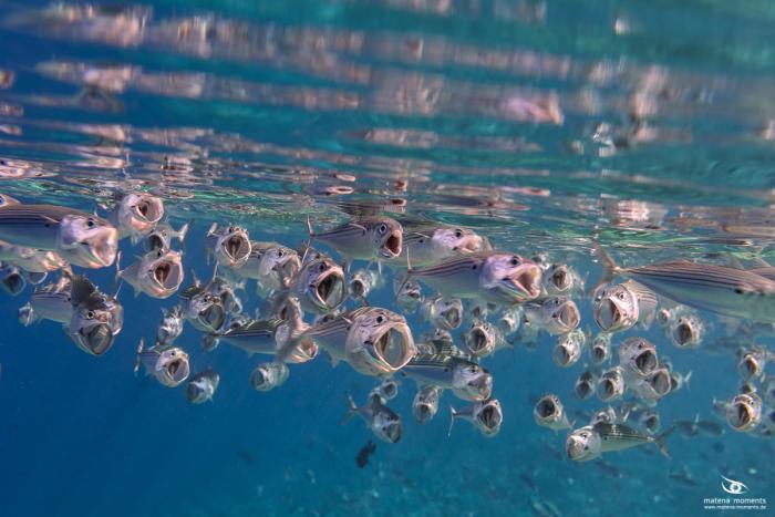 matena moments / Malediven