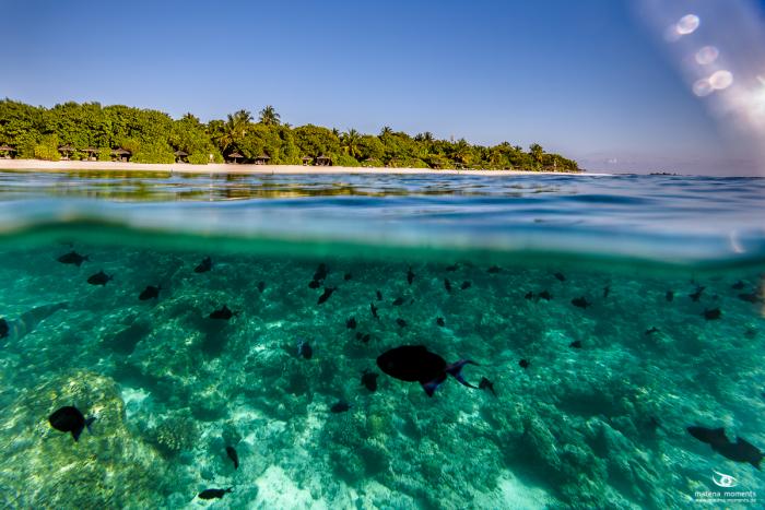 matena moments / Malediven
