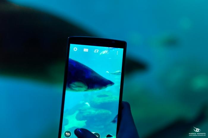 matena moments / Mallorca