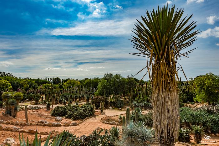 matena moments / Mallorca