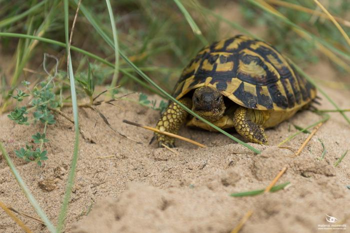 matena moments / Mallorca