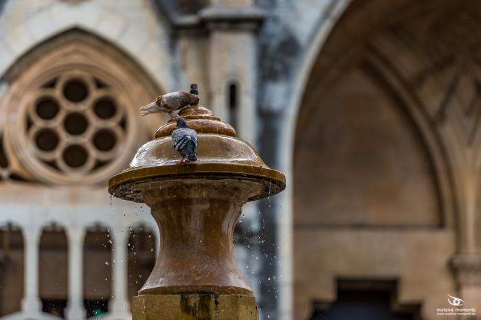 matena moments / Mallorca