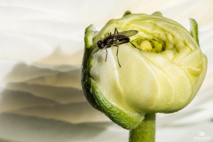 matena moments / Natur