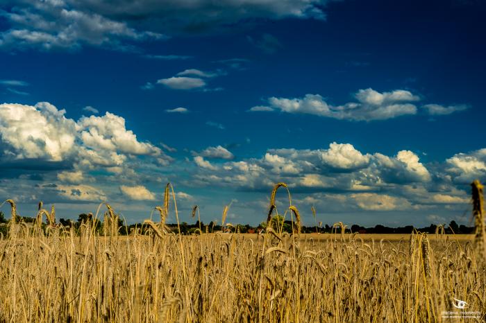 matena moments / Natur