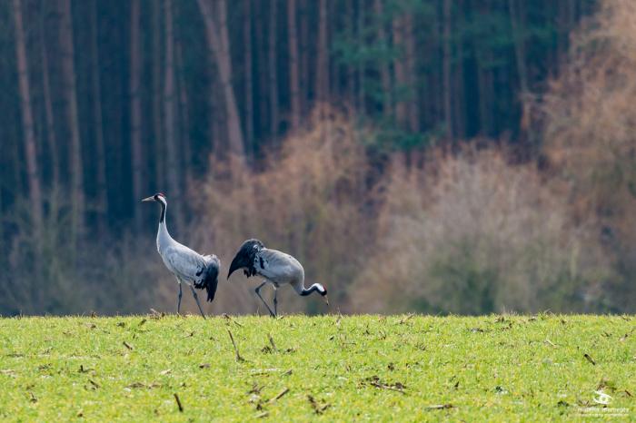 matena moments / Natur