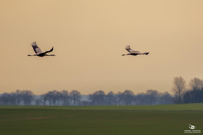 matena moments / Natur