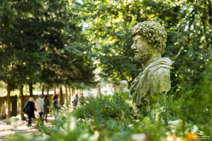 matena moments / Business