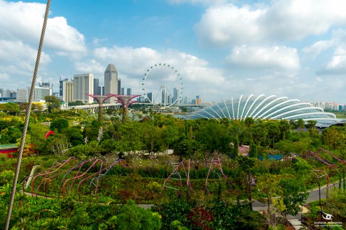 matena moments / Singapur