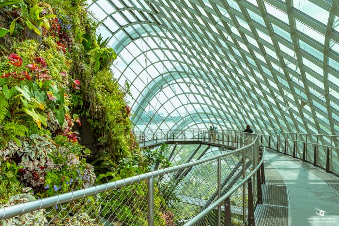 matena moments / Singapur