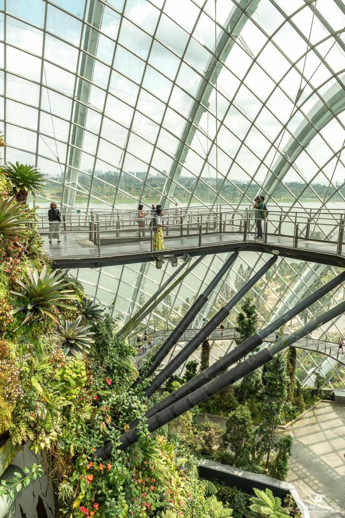 matena moments / Singapur