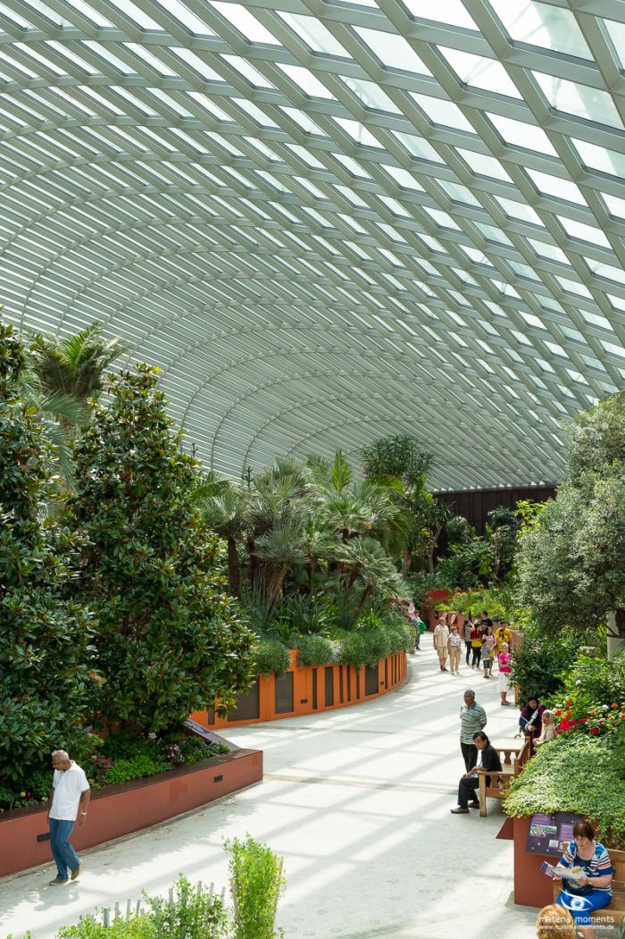 matena moments / Singapur