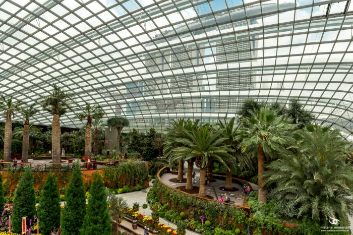 matena moments / Singapur