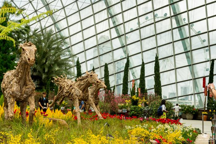 matena moments / Singapur