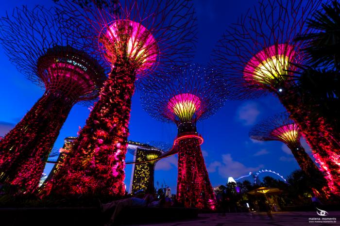 matena moments / Singapur