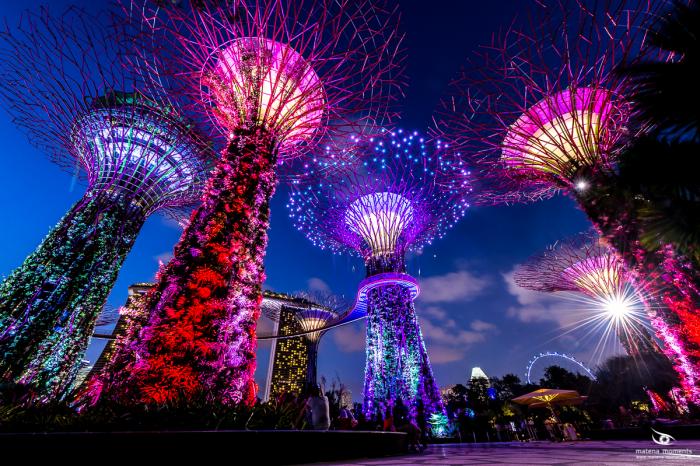 matena moments / Singapur