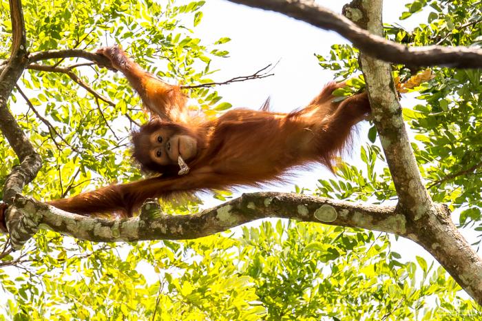 matena moments / Singapur