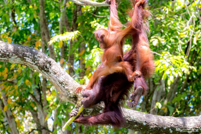 matena moments / Singapur