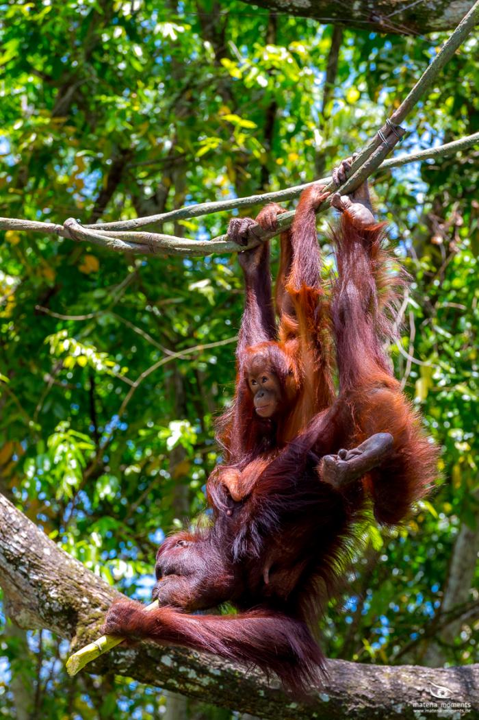matena moments / Singapur