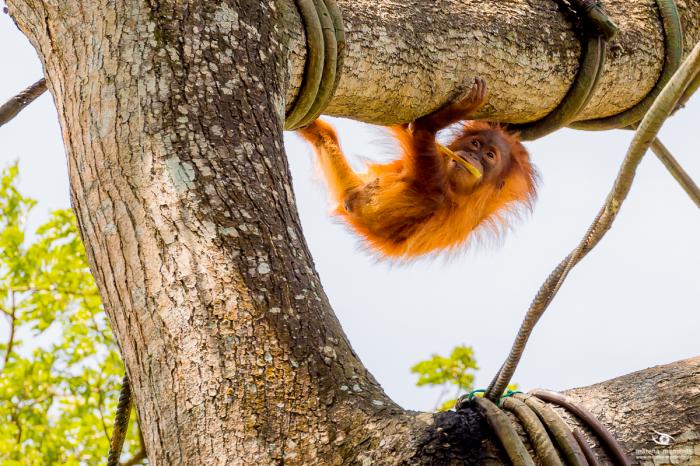 matena moments / Singapur