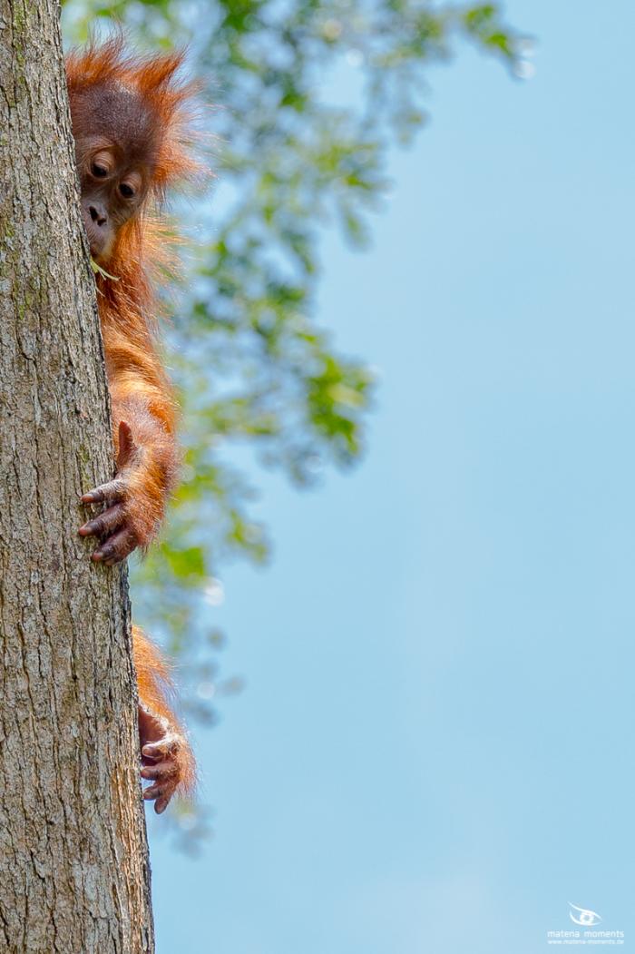 matena moments / Singapur