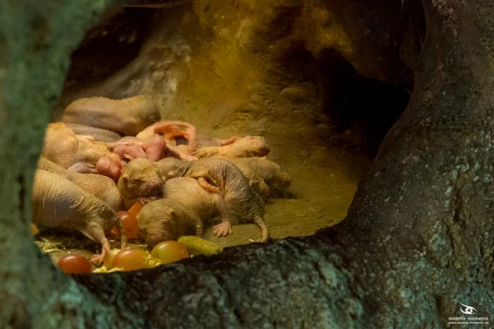 matena moments / Singapur