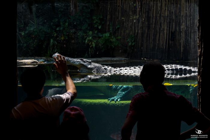 matena moments / Singapur