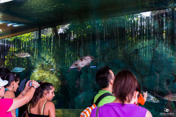 matena moments / Singapur