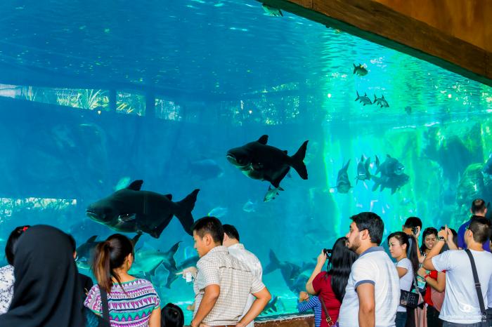 matena moments / Singapur