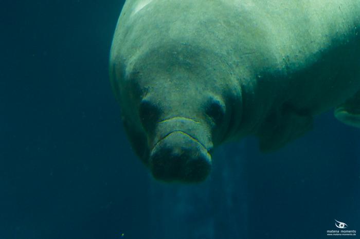 matena moments / Singapur