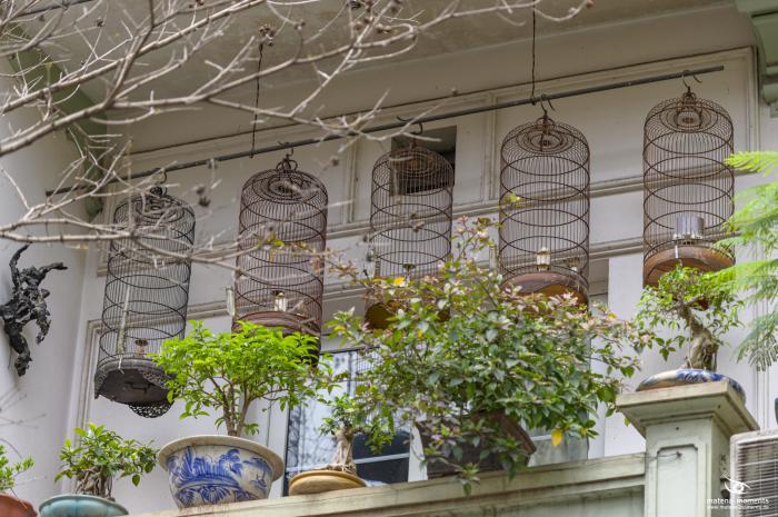 matena moments / Vietnam