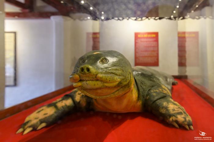 matena moments / Vietnam