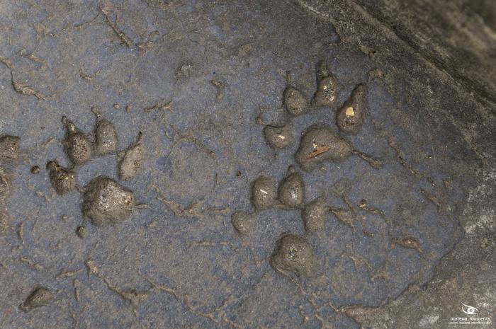 matena moments / Vietnam