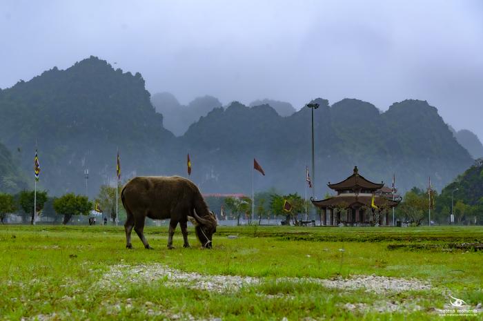 matena moments / Vietnam