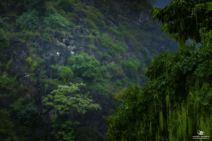 matena moments / Vietnam