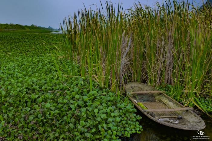 matena moments / Vietnam