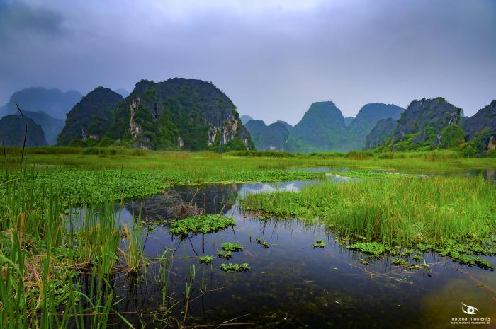 matena moments / Vietnam